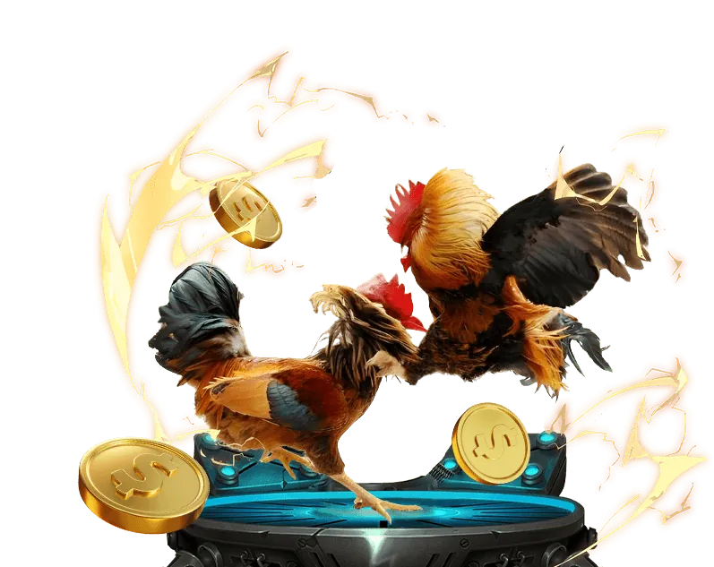 Hướng dẫn đăng nhập W88 an toàn để chơi đá gà